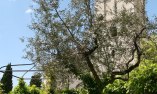 Residenza d'Epoca San Crispino, Umbria, As�s