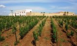 Relais Baglio Donna Franca - Sicilia - Marsala