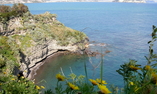 Albergo la Vigna, Campania, Procida - Isole Flegree