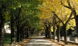 Borgo dei Conti Resort - Umbria - Perugia