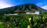 Capofaro Malvasia & Resort - Sizilien - Salina - �olischen Inseln