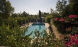 Masseria Marzalossa - Puglia - Fasano