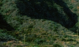 Capofaro Malvasia & Resort - Sizilien - Salina - �olischen Inseln