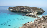 La Calandra - Sicilia - Lampedusa Isola