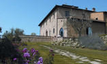 Sole del Chianti - Tuscany - Tavarnelle Val di Pesa