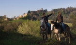 Antico Borgo di Tabiano Castello - �milie-Romagne - Salsomaggiore Terme