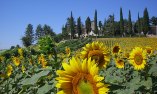 Residenza d'Epoca Villa la Castellaccia, Tuscany, Sansepolcro