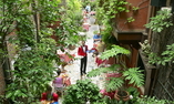 Hotel Flora, Venetien, Venedig