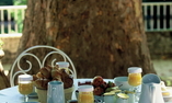 Ch�teau de Varenne, Languedoc - Roussillon, Sauveterre