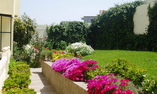 Dar NILAM, T�nger, T�nger