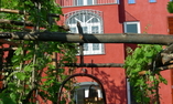 Albergo la Vigna, Campania, Procida - Islas Flegree