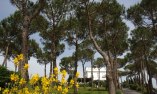 Oasi Olimpia Relais - Campania - Sant'Agata sui Due Golfi