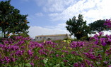 Relais Angimb� - Sicile - Calatafimi - Segesta