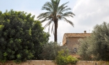 Tenuta Cammarana - Sicilia - Ragusa