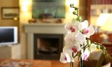 Hotel Bremon - Catalonia - Cardona