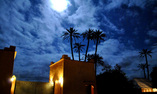 Jnane Allia - Marrakech y Alrededores - Marrakech