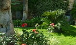 Dimora del Prete di Belmonte, Molise, Venafro
