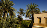 Tsar Masa, Marrakech, Marrakech