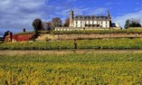 Ch�teau d'Isenbourg, Alsace, Rouffach