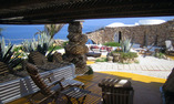 La Calandra - Sicilia - Lampedusa Isola