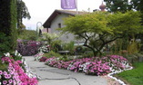 Dolce Vita Hotel Preidlhof - Trentino Alto Adige - Naturns