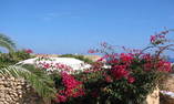 Villaggio Albergo I Dammusi di Borgo Cala Creta - Sicily - Lampedusa Island