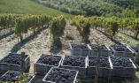 Il Borgo di Vescine - Toscane - Radda in Chianti