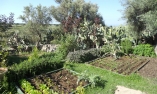 Tenuta Cammarana - Sicilia - Ragusa