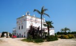Masseria Montenapoleone - Apulia - Fasano