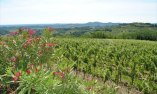 Casa Vacanza Friuli - Friaul-Julisch Venetien - San Floriano del Collio