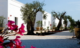 Masseria Torre Maizza, Apulia, Fasano