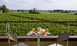 Hotel Grand Barrail Ch�teau Resort & Spa - Aquitania - Saint-�milion