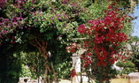 Villa Rodogallo, Puglia, Sannicola