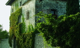 Casaforte di Bergum, Friuli Venezia Giulia, Remanzacco