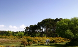 Careys Manor Hotel and SenSpa - Sud Est dell'Inghilterra - Brockenhurst