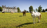 Ch�teau d'Ygrande - Auvergne - Ygrande