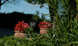 Badia alle Grazie Country Resort, Umbria, Foce di Amelia