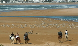 L'Heure Bleue Palais - Essaouira - Essaouira