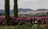 Resort e Spa San Crispino, Umbria, Assisi