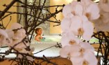 Hotel Federico II - Sicily - Montalbano Elicona