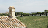 La Palazzetta del Vescovo - Umbria - Fratta Todina