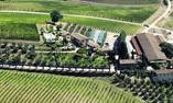 Villa Dievole, Tuscany, Castelnuovo Berardenga