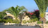 Villaggio Albergo I Dammusi di Borgo Cala Creta - Sicily - Lampedusa Island