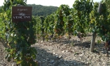Il Borgo di Vescine - Toscane - Radda in Chianti