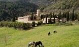 Abbazia San Pietro In Valle - Umbria - Ferentillo