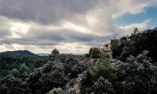 Consolaci�n - Aragon - Monroyo