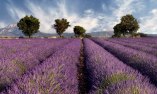 Ch�teau de Rochegude - Rh�ne-Alpes - Rochegude
