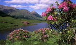 Inverlochy Castle Hotel - Le Highlands Scozzesi - Fort William