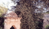 Villa Rodogallo, Puglia, Sannicola