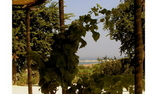 Relais Villa Giulia, Marche, Fano